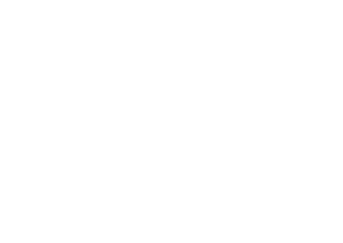 logo blanc naviik